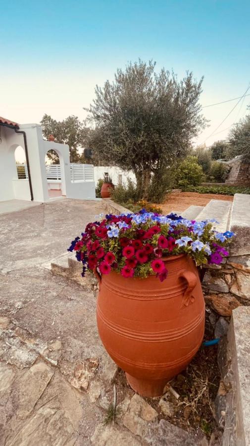 Grand House Apartment Agios Nikolaos  Exterior photo